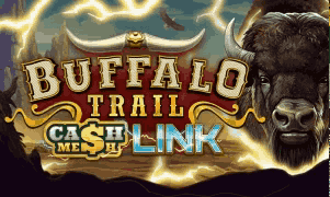 lilbet slot photo buffalo trail